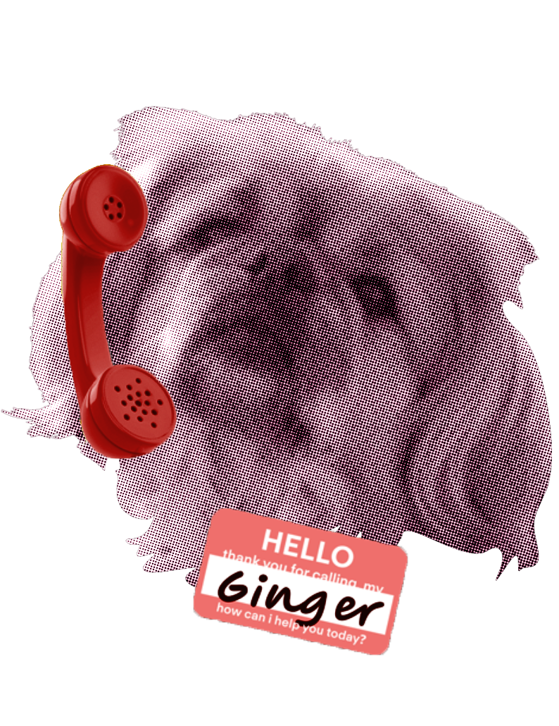 Ginny, the Damn Good Interiors studio dog